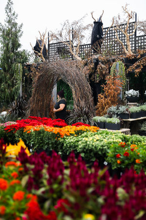 Image post by @rogersgardens on Instagram