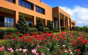 Image post by @officialsouthernmiss on Instagram
