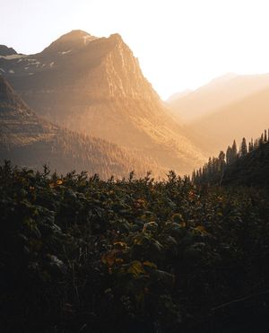 Image post by @nationalparkspartnership on Instagram