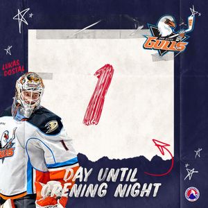 Image post by @theahl on Instagram