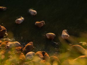 Image post by @natgeo on Instagram