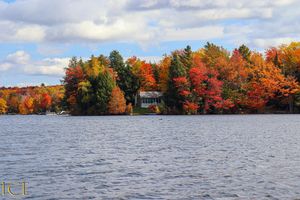 Image post by @iceglobalworldwide on Instagram