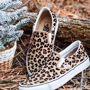 Image post by @journeys on Instagram