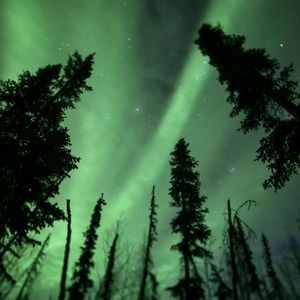 Image post by @discovery on Instagram
