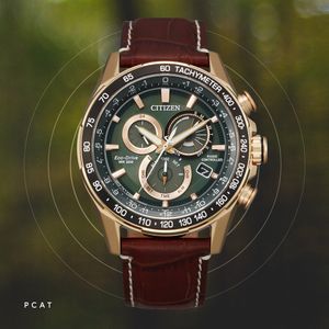 Image post by @citizenwatchus on Instagram