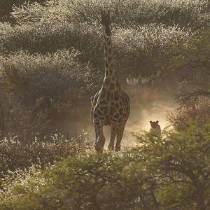 Image post by @natgeo on Instagram