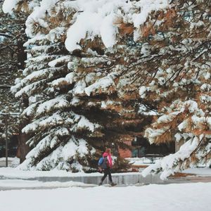 Image post by @nauflagstaff on Instagram