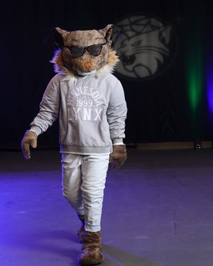 Image post by @lynxprowl on Twitter