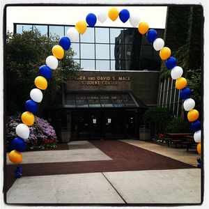 Image post by @hofstrau on Instagram