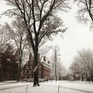Image post by @harvard on Instagram