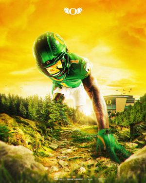 Image post by @goducks on Instagram