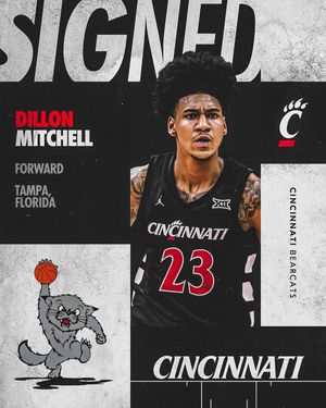 Image post by @gobearcatsmbb on Instagram
