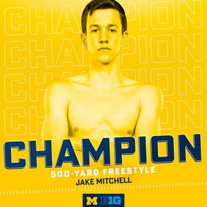 Image post by @umichswimdive on Instagram