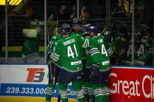 Image post by @fl_everblades on Instagram