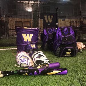 Image post by @uwsoftball on Instagram
