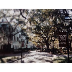 Image post by @collegeofcharleston on Instagram