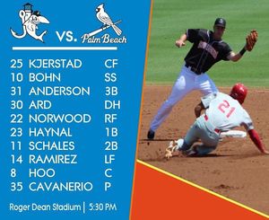 Image post by @gohammerheads on Instagram