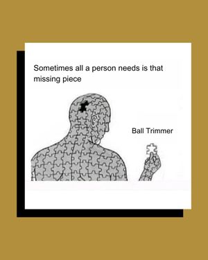 Image post by @manscaped on Instagram