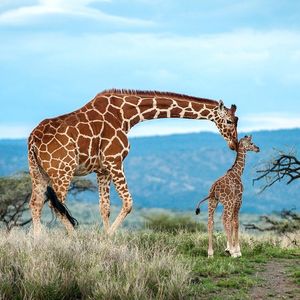 Image post by @natgeo on Instagram