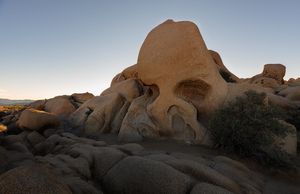 Image post by @chandlerwebercreative on Instagram