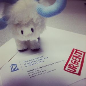Image post by @uncadmissions on Instagram