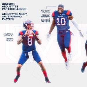 Image post by @mtlalouettes on Instagram