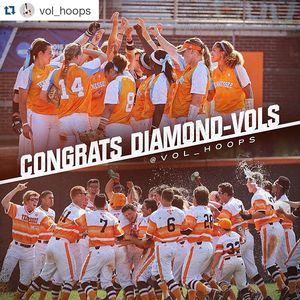 Image post by @vol_baseball on Instagram