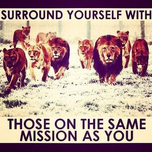 Image post by @kerrileewalsh on Instagram