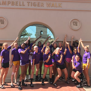 Image post by @lsuvolleyball on Instagram