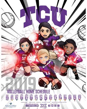 Image post by @tcuvolleyball on Instagram