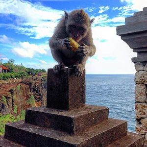 Image post by @travelchannel on Instagram