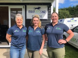 Image post by @NZHorseAmbulanceTrust on Facebook