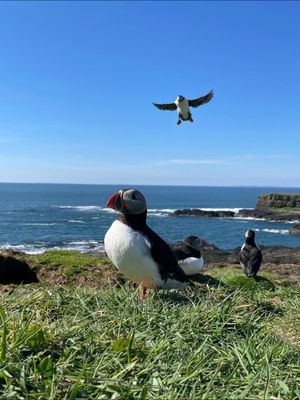 Image post by @VisitScotland on Twitter