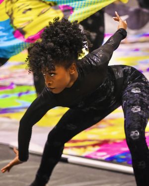Image post by @wgisportofthearts on Instagram
