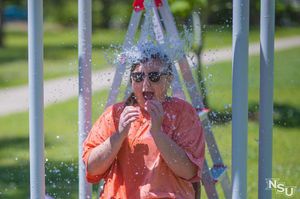 Image post by @nsula on Instagram