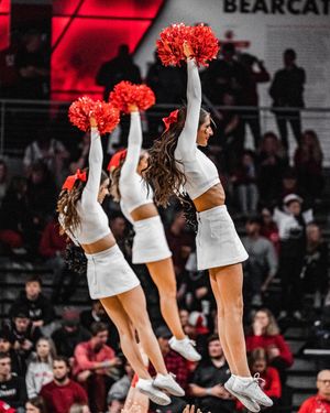 Image post by @gobearcatscheer on Instagram