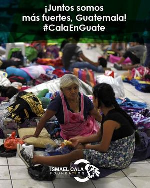 Image post by @calafoundation on Instagram