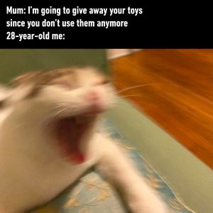Image post by @9gag on Instagram