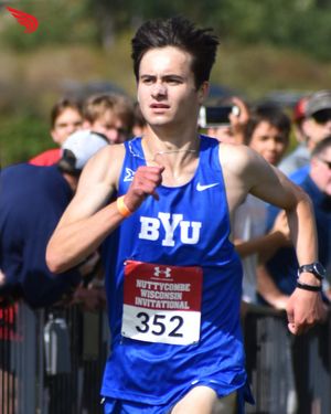 Image post by @dyestat on Instagram