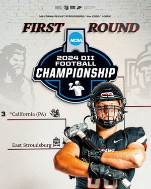 Image post by @calvulcansfb on Instagram