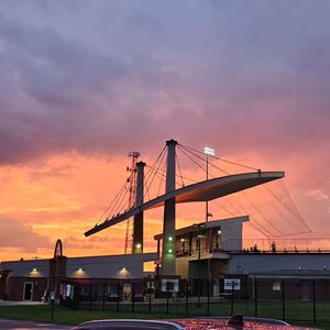 Image post by @burlington_bees on Instagram