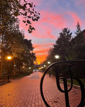 Image post by @udelaware on Instagram