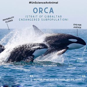 Image post by @centerforbiodiv on Instagram