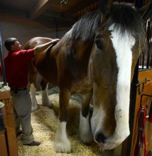Image post by @WarmSpringsRanch on Facebook