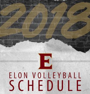 Image post by @elonvb on Instagram