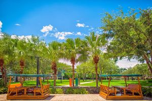 Image post by @univmiami on Instagram