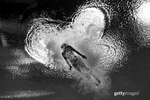 Image post by @gettysport on Instagram