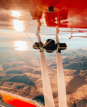 Image post by @onewheel on Instagram