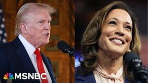 Video post by @msnbc on YouTube