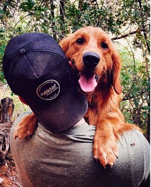 Image post by @triumphpetfood on Instagram